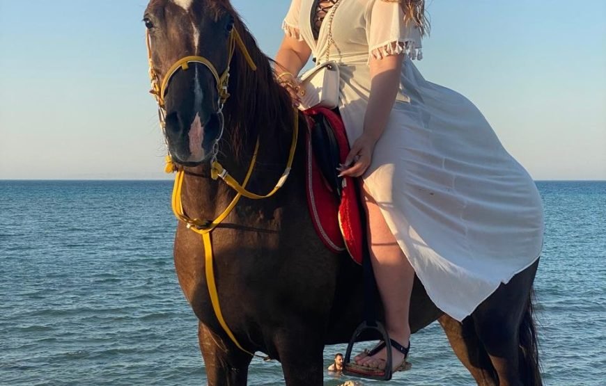 Horse riding tour 1hour