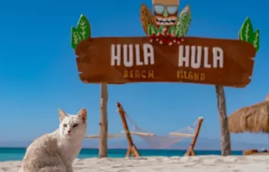 Hala Hula