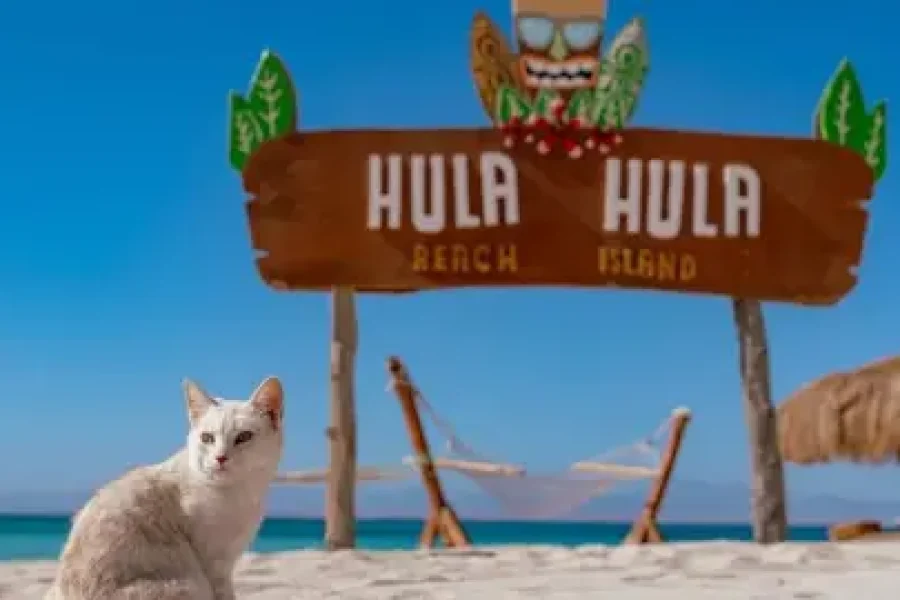 Hurghada-Explorers-Trips-HulaHula