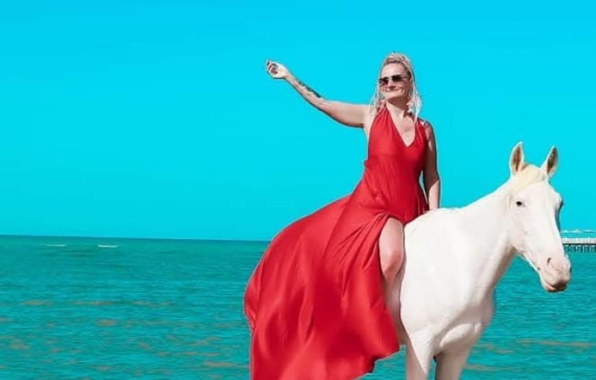 Horse riding tour 1hour