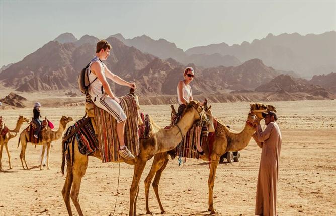 Hurghada-Explorers-Trips-Camels