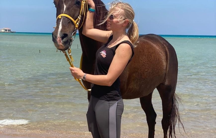 Horse riding tour 1hour