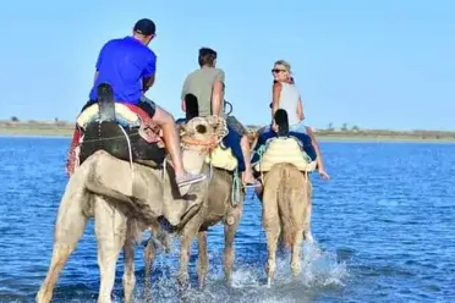 Camel Riding 1h