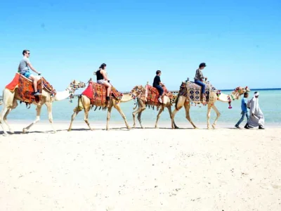 camel riding 2 hours with sea