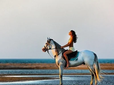 Horse riding tour 2 hours