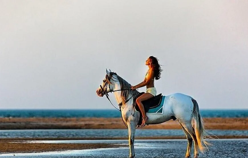 Horse riding tour 1hour