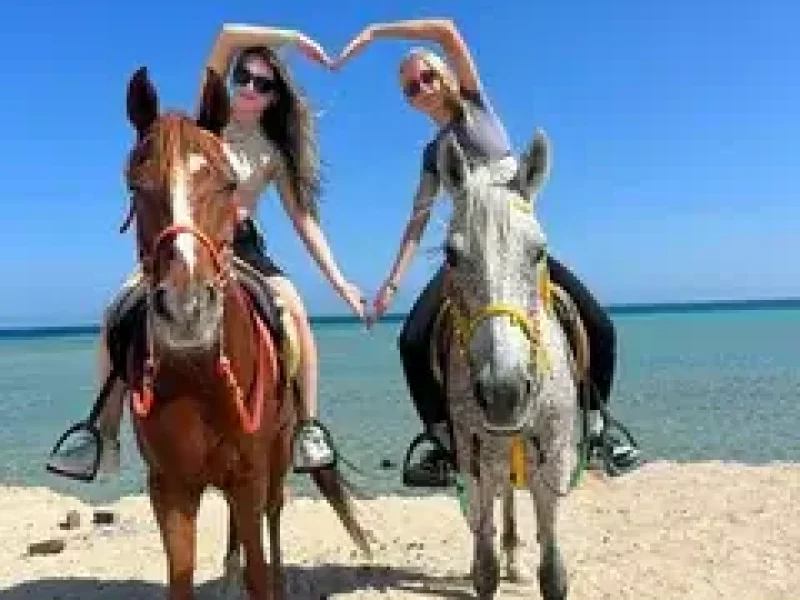 Horse riding tour 3 hours