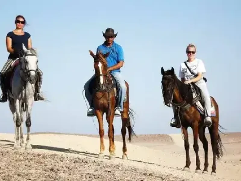 Sunset horse ride along the Red Sea in Hurghada