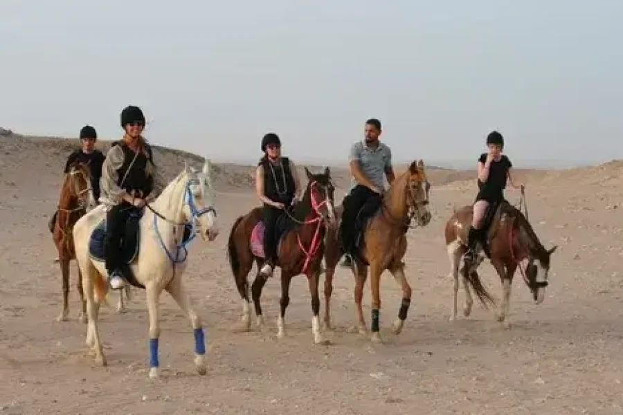 Horse riding tour 3 hours