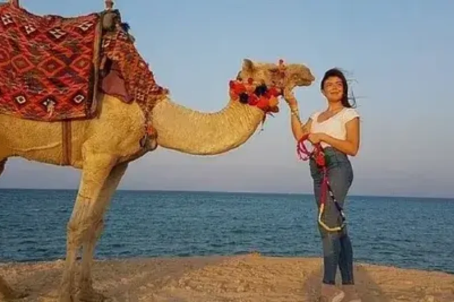 Horse riding tour 1hour