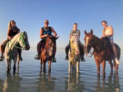 Romantischer Ausritt am Mer in Sahl Hasheesh Ägypten