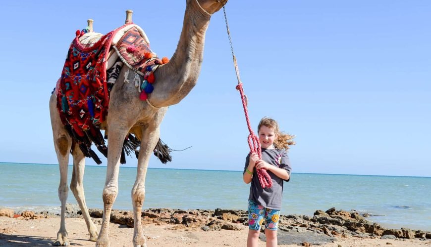 Camel Riding Hurghada