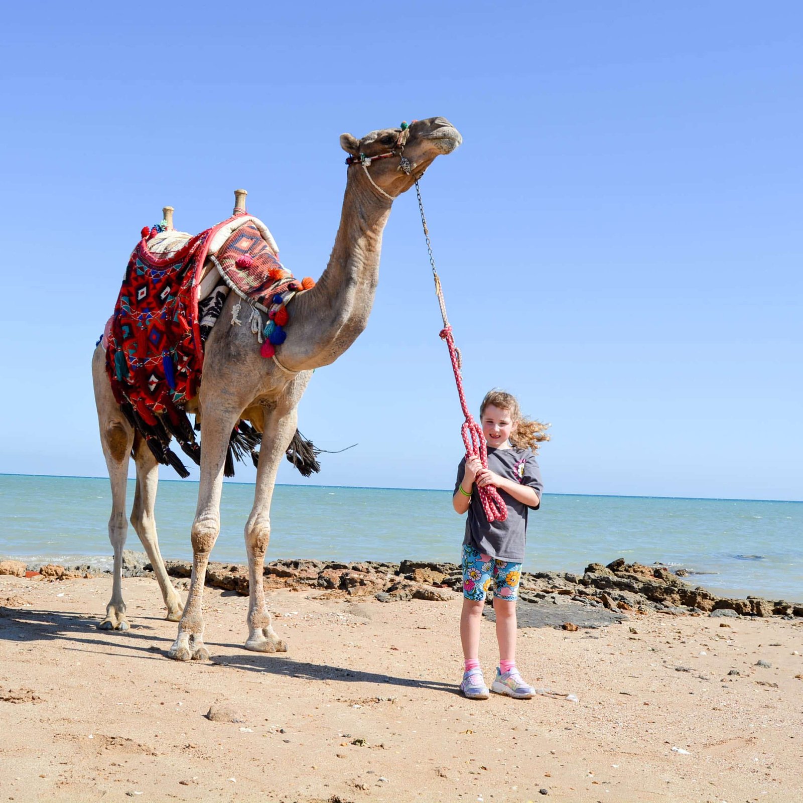 Camel Riding Hurghada