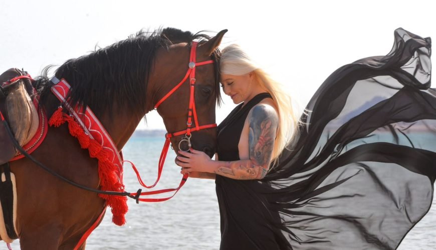Horse Riding Hurghada – Best Beach & Desert Horse Riding Tours in Egypt