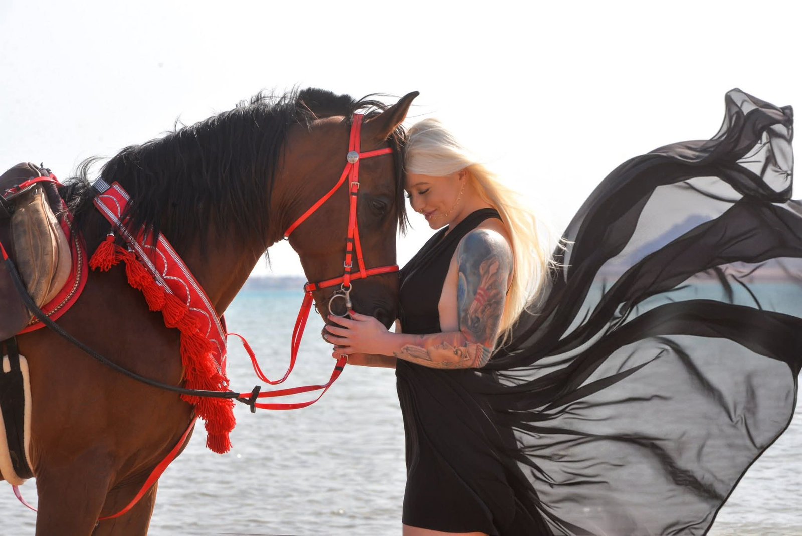 Horse Riding Hurghada – Best Beach & Desert Horse Riding Tours in Egypt