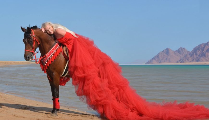 Sea Horse Sahl Hasheesh Hurghada Strandreiten am Roten Meer