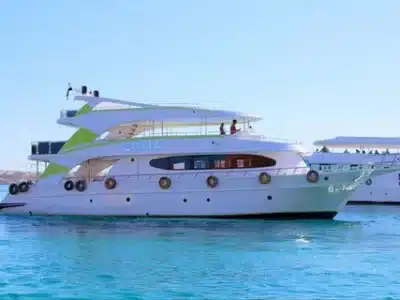 Dolphin House VIP Hurghada | Luxus Schnorcheltour mit Delfinen im Roten Meer
