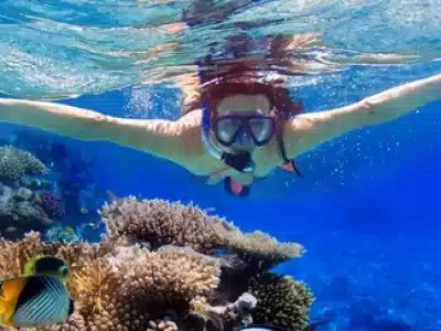 Schnorcheln in Hurghada