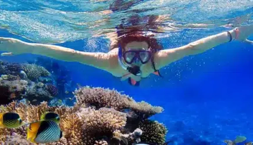 Schnorcheln in Hurghada