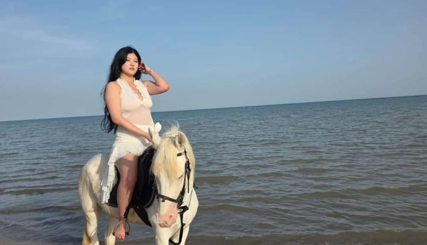 "Sea Horse Hurghada underwater photography"