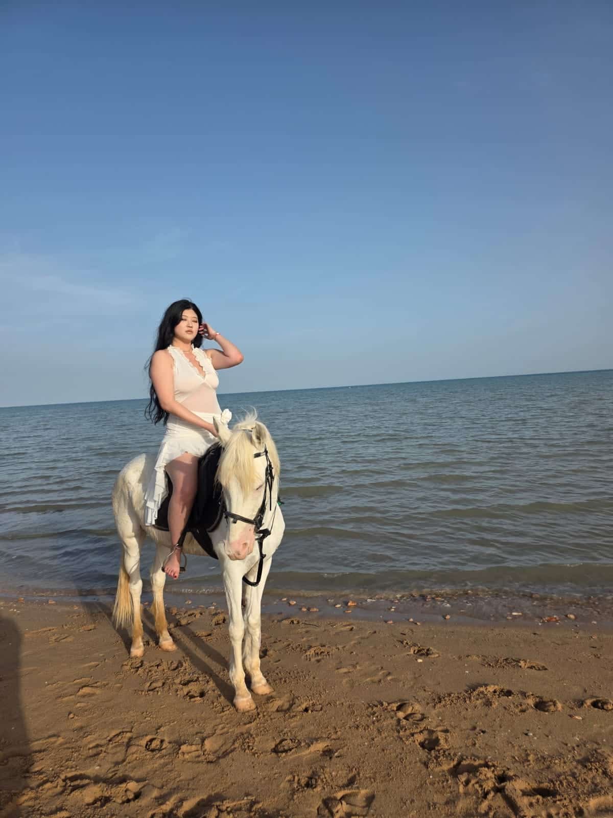 "Sea Horse Hurghada underwater photography"