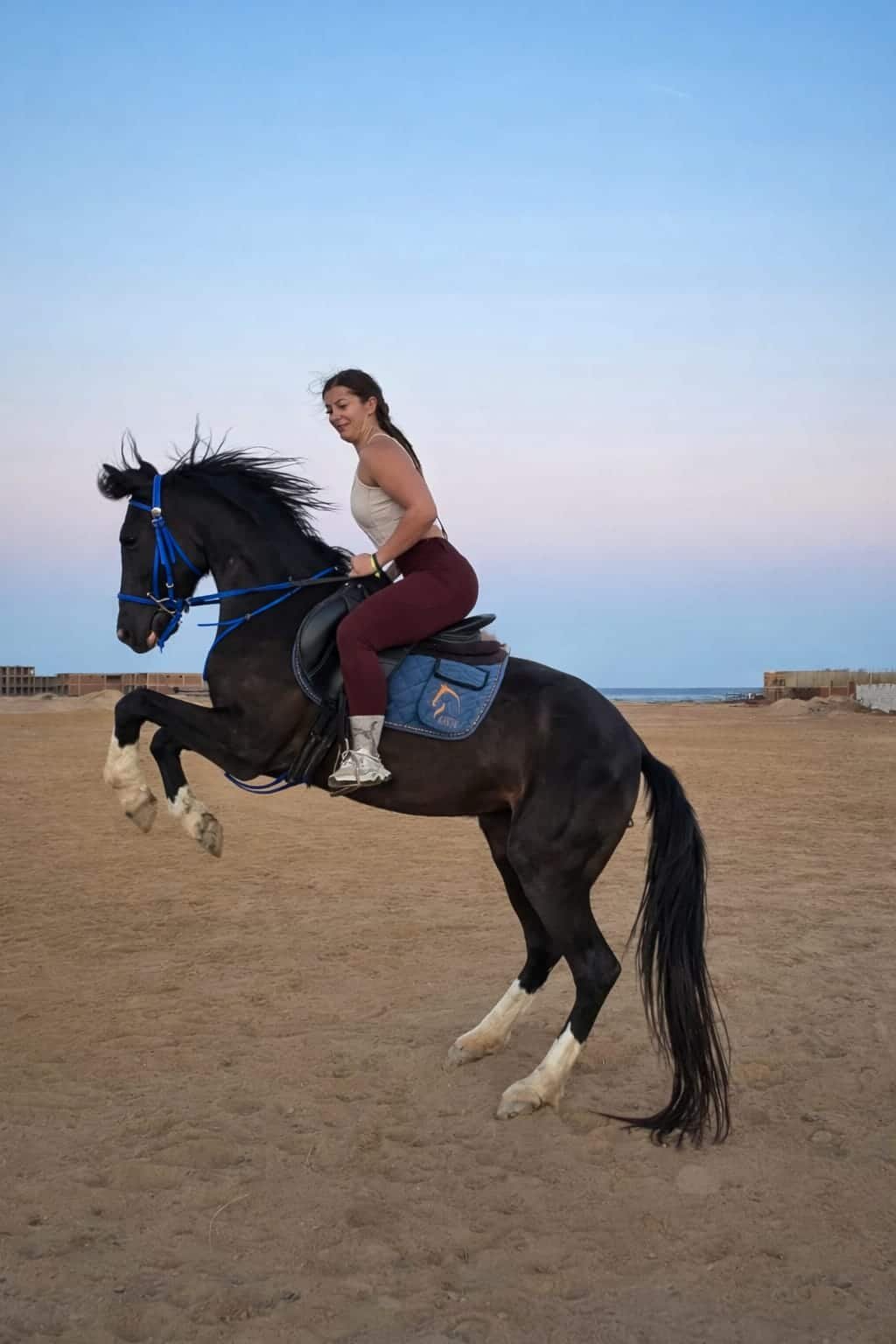 Pferde reiten Hurghada – Bestes Reiterlebnis am Strand & in der Wüste