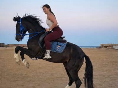 Horse Riding Hurghada | Beach & Desert Horseback Tours at Best Price