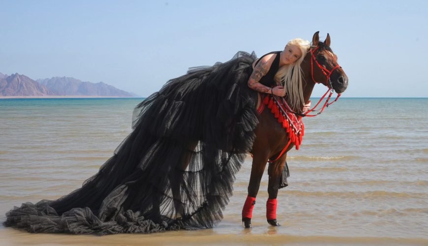 Swimming Horse Fahrt