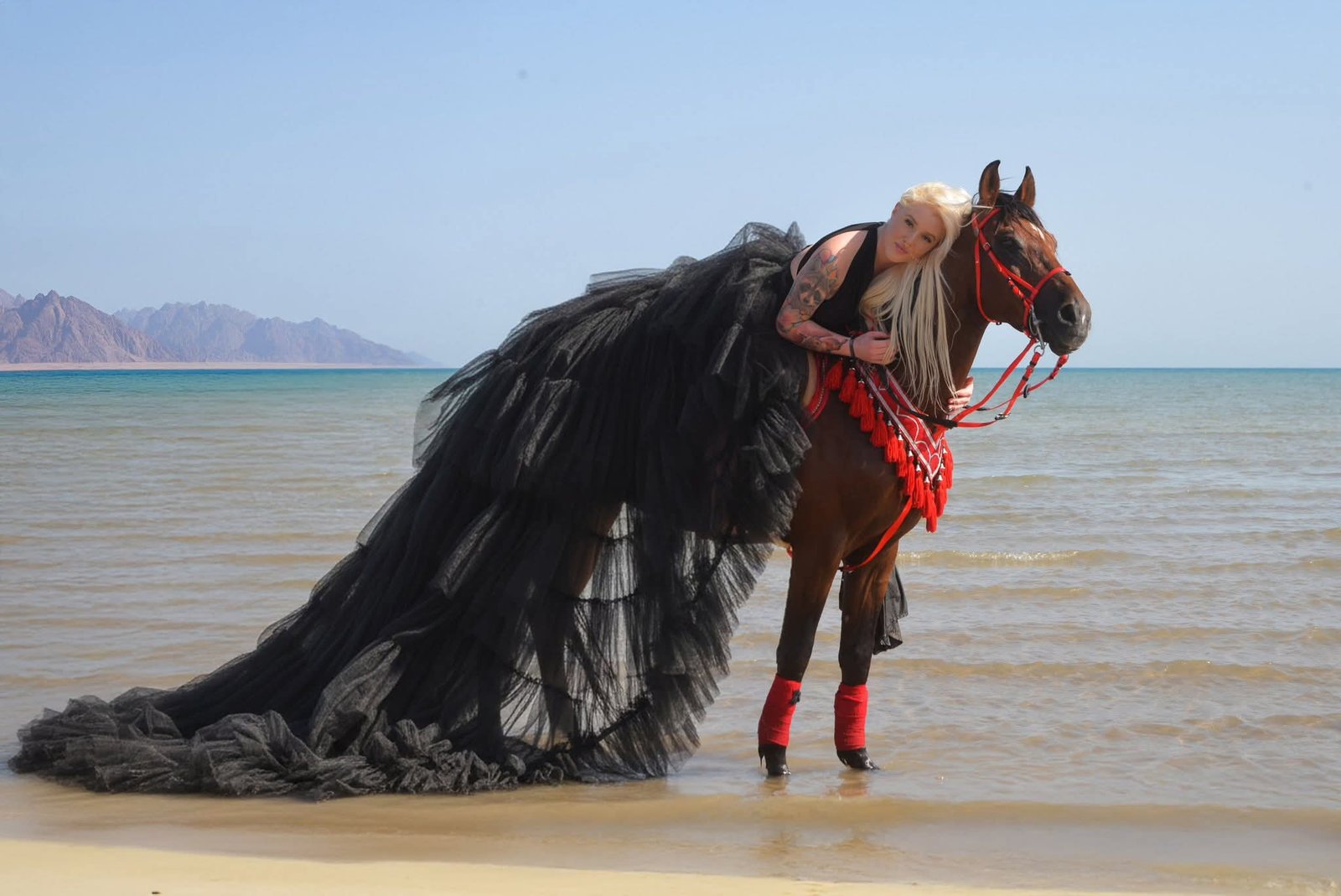 Swimming Horse Fahrt