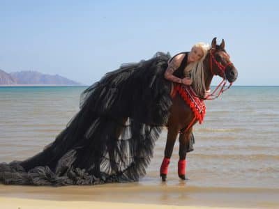 Équitation à Hurghada | Balade à Cheval Désert & Mer Rouge