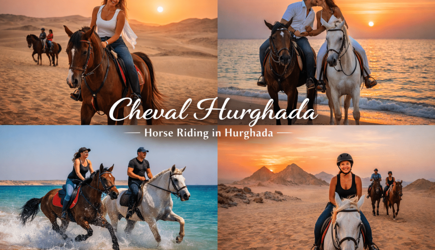 Cheval Hurghada | Randonnées à cheval dans le désert et sur la plage d'Hurghada