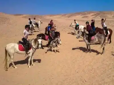 Cheval Égypte – Balades à cheval, désert & mer Rouge | Guide complet