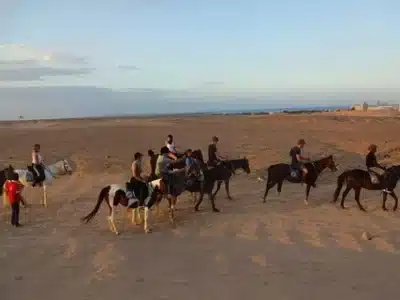 Cheval Égypte – Balades à cheval, désert & mer Rouge | Guide complet