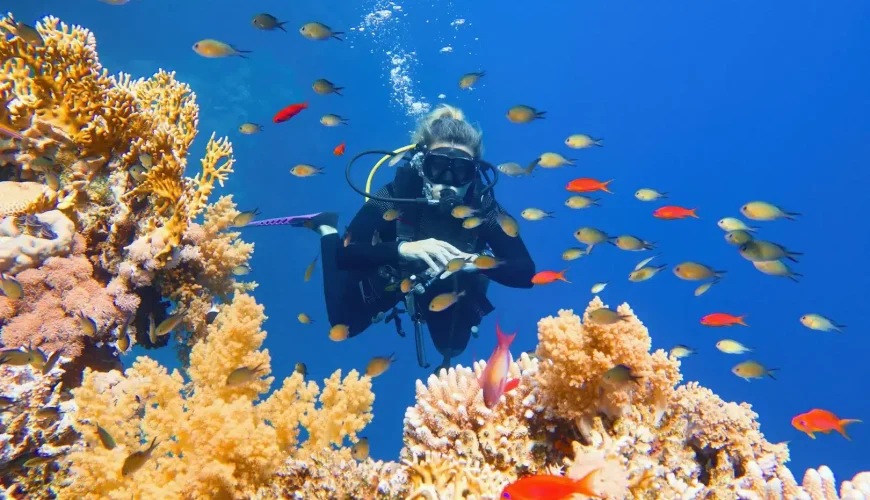 Diving Hurghada