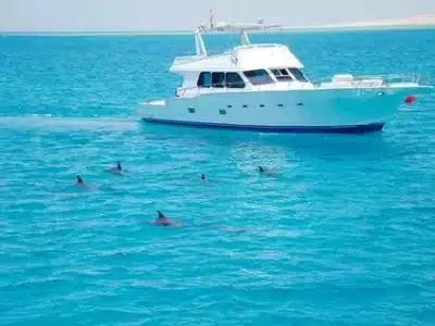 hurghada trip