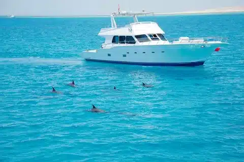Dolphin House Hurghada