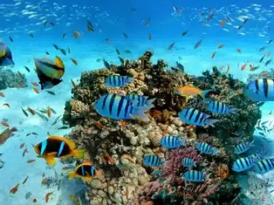 Ultimate Hurghada Travel Guide 2026 | Best Hotels, Trips, Itineraries & Tips