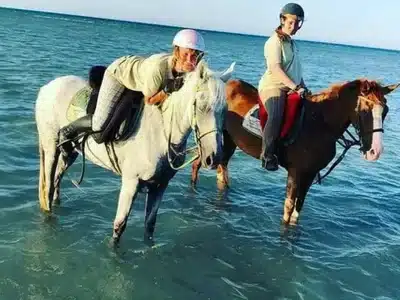 Hurghada horse riding