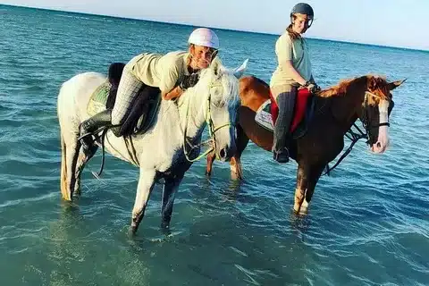 Cheval Égypte – Balades à cheval, désert & mer Rouge | Guide complet