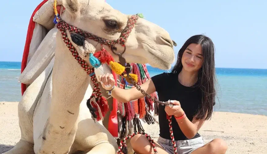 Camel Ride