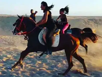 Book Your Swimming with Horses