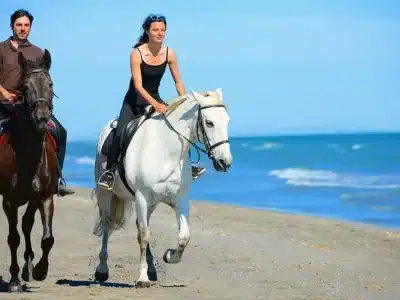 hurghada beach horse riding tour