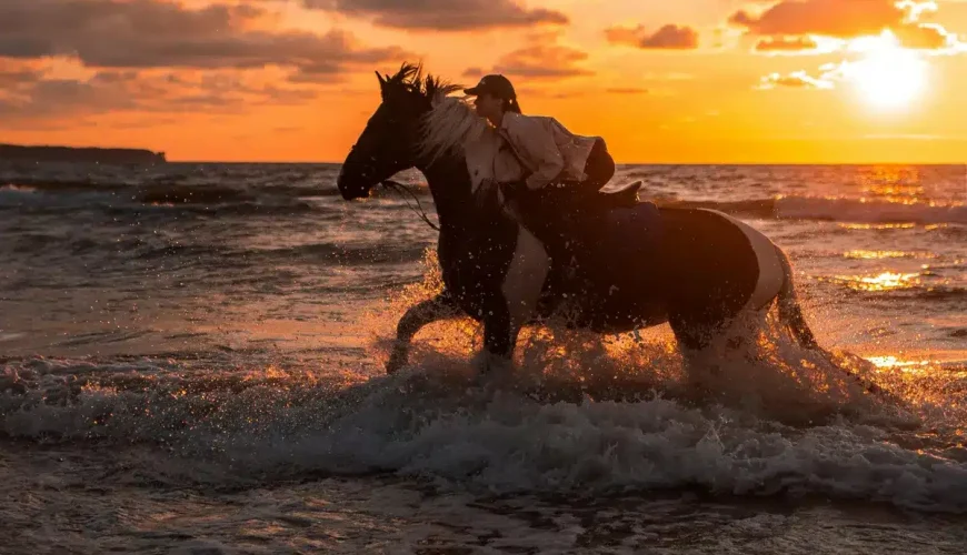 horse riding in hurghada red sea sunrise
