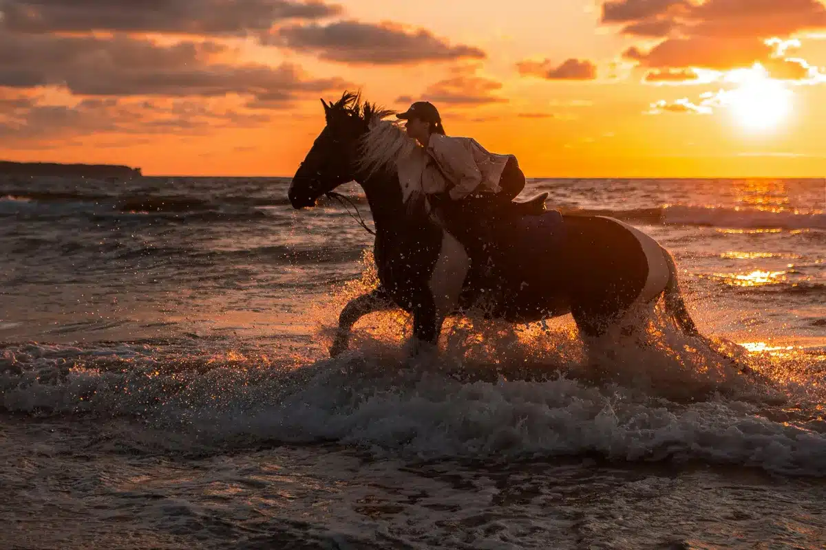 horse riding in hurghada red sea sunrise
