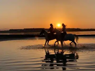 sunrise horse riding hurghada beach
