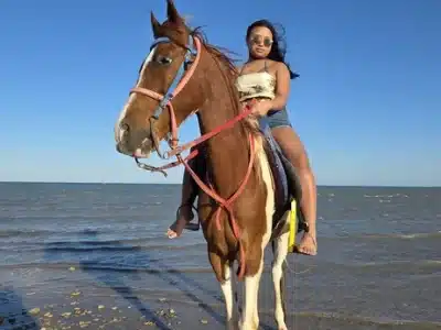 Reiten in Hurghada